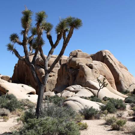 joshua_090514_154149_5d