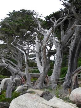 mont2_090519_093341_dmc-tz5