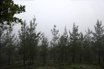 mont_090519_081842_5d