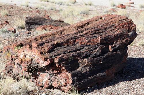 pf2_090513_082115_5d