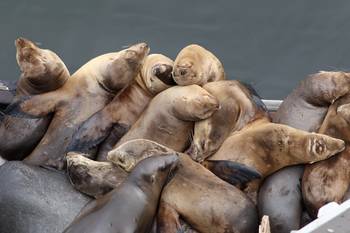 sc1_090519_114452_5d