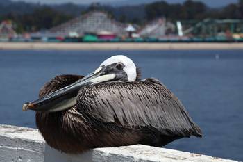 sc2_090519_131459_5d