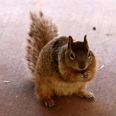 zc3_090524_112109_5d